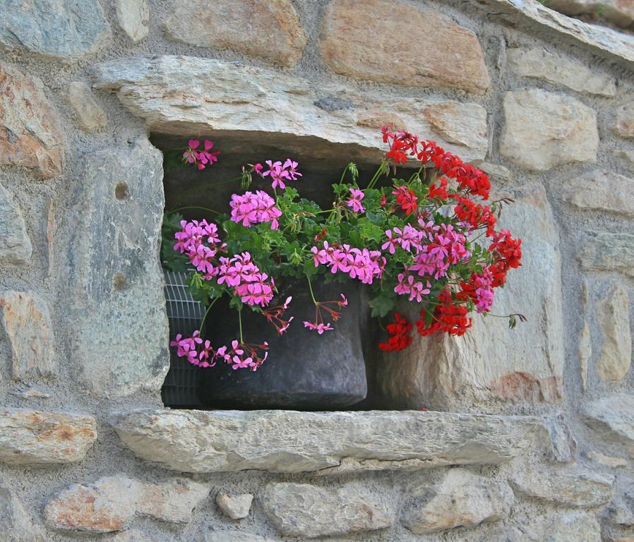 Souvenir De Tsaneli Apartment Roisan